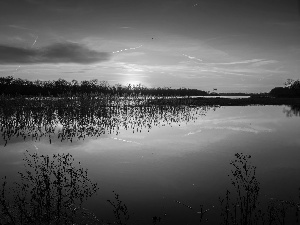 Great Sunsets, grass, Germany, River Elbe