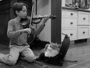 ginger, cat, boy, violin, interior