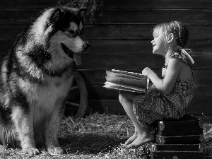 Alaskan Malamute, dog, girl