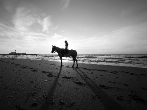 sea, Horse, girl, Beaches