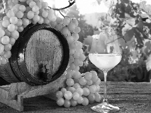 glass, composition, grapes, barrel, spray