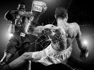 Everlast, broken, Glass, boxing