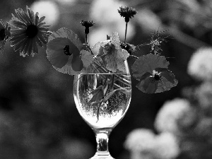 glass, bouquet, flowers