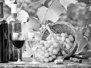 Bottles, Grapes, glasses, Wines