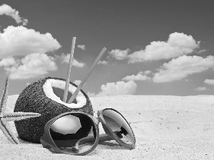 Coconut, Glasses, summer, starfish