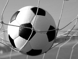 Ball, Sport, goal, gate