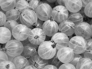 Fruits, gooseberry