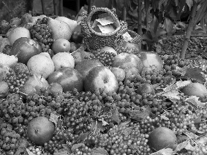 basket, harvest, truck concrete mixer, grape, apples