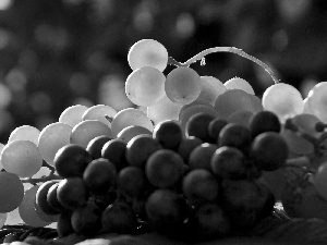 Grapes, White, Black