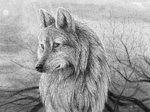 graphics, Wolf, branches