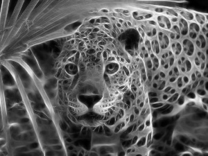 Jaguar, Fractalius