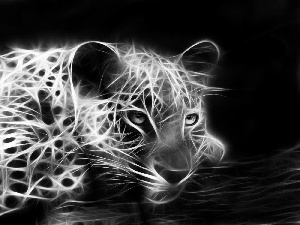 color, Fractalius, graphics, Jaguar