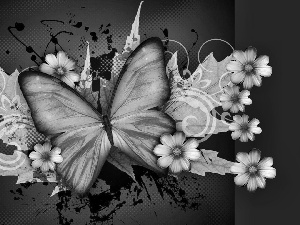 graphics, butterfly, flowers