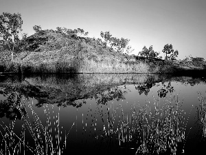 Australia, hill, grass, water