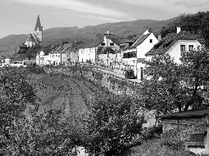 trees, Church, grass, Austria, viewes, Houses