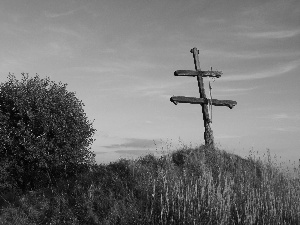 grass, wayside, Cross