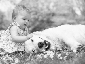 grass, girl, dog