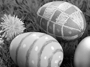 Easter, puffball, grass, eggs