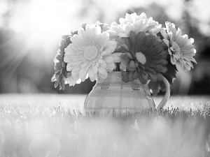 Flowers, jug, grass, gerberas