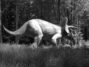 grass, Triceratops, forest