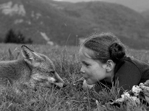 grass, girl, fox