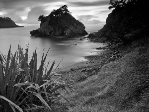 grass, lake, Islet