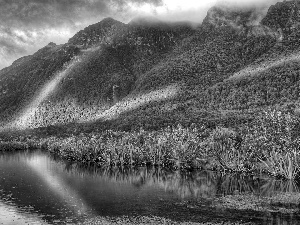 lake, Great Rainbows, grass, Mountains