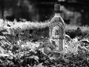 Krupnik, vodka, grass, Leaf, Bottle, Poland