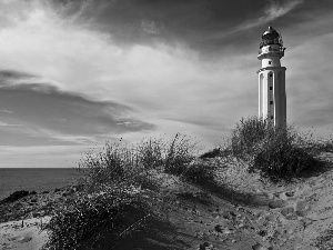 Lighthouse, Coast, grass, maritime