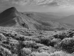 Mountains, Clumps, grass, clouds