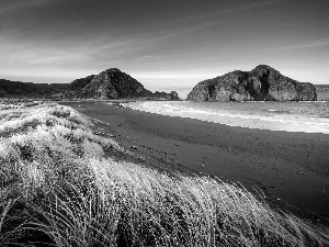 Mountains, coast, grass, sea