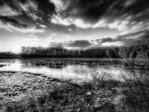 grass, clouds, River