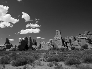 canyon, Clumps, grass, Stones rocks