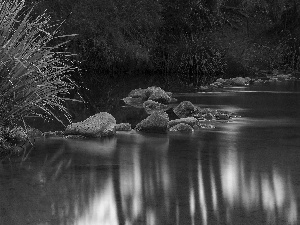 grass, River, Stones