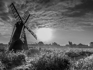 grass, Windmill, sun