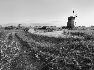 grass, Windmills, Way