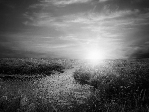 west, River, grass, sun