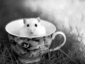 White, cup, grass, mouse