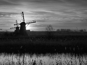 Windmills, sun, grass, west