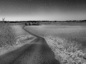 viewes, Houses, Dusk, trees, Way, grass, winter