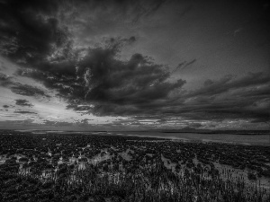 clouds, swamp, Great Sunsets