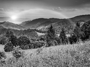 Flowers, woods, rays, medows, Mountains, Great Rainbows, sun