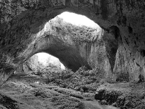 cave, green