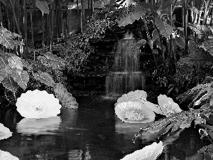 Garden, Plants, green, cascade