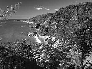 New Zeland, Sea Mountain, green