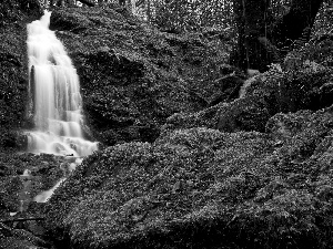 green, waterfall, Stones
