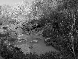 green, Garden, water