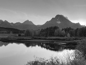 grove, Mountains, lake