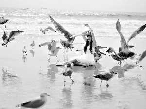 gulls, Beaches, White, dress, Women