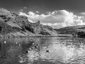 gulls, lake, Mountains